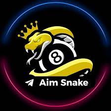 Snake Aim 8 Ball Pool APK icon